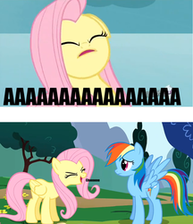 Size: 500x578 | Tagged: safe, fluttershy, rainbow dash, g4, season 1, sonic rainboom (episode), achoo, cute, eyes closed, floppy ears, flutterfrown, frown, open mouth, smiling, sneezing, spread wings, yay