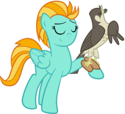 Size: 3294x3001 | Tagged: safe, artist:clamstacker, lightning dust, bird, falcon, pegasus, peregrine falcon, pony, g4, animal, duo, eyes closed, falconry, female, mare, pet, raised hoof, simple background, transparent background, vector