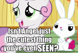 Size: 802x545 | Tagged: safe, angel bunny, sweetie belle, g4, just for sidekicks, angel is a bunny bastard, cute, image macro, irony