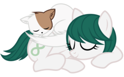 Size: 1280x800 | Tagged: safe, artist:midnight--blitz, oc, oc only, cat, earth pony, pony, simple background, sleeping, transparent background, vector