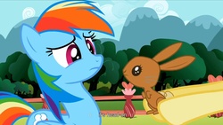 Size: 1176x662 | Tagged: safe, screencap, fluttershy, rainbow dash, rabbit, g4, may the best pet win, youtube caption