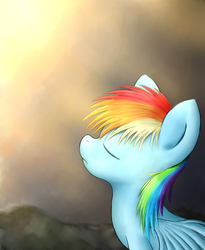 Size: 3200x3900 | Tagged: safe, artist:zirbronium, rainbow dash, g4, solo