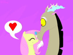 Size: 800x600 | Tagged: safe, artist:rosethethief, discord, fluttershy, g4, keep calm and flutter on, ship:discoshy, shipping