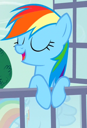 Size: 432x632 | Tagged: safe, screencap, rainbow dash, pegasus, pony, g4, spike at your service, female, mare, window