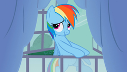 Size: 1920x1080 | Tagged: safe, screencap, rainbow dash, pegasus, pony, g4, spike at your service, cute, dashabetes, flying, looking up, scrunchy face, window