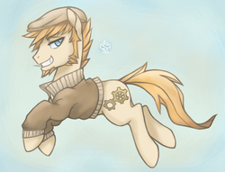 Size: 914x700 | Tagged: safe, artist:soulspade, oc, oc only, earth pony, pony, male, stallion