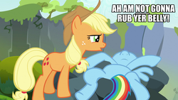 Size: 1920x1080 | Tagged: safe, edit, edited screencap, screencap, applejack, rainbow dash, g4, bellyrubs, caption, nose in the air, out of context, text