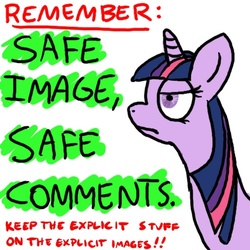 Size: 512x512 | Tagged: safe, artist:thelonelampman, twilight sparkle, pony, g4, female, frown, meta, solo, text, unamused