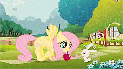 Size: 245x138 | Tagged: safe, screencap, angel bunny, fluttershy, butterfly, g4, animated, apple, ei, theme song