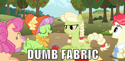 Size: 500x245 | Tagged: safe, screencap, apple rose, auntie applesauce, granny smith, sew 'n sow, apple family reunion, g4, angry, dumb fabric, eyes closed, hat, image macro, laughing, meme, young apple rose, young auntie applesauce, young granny smith