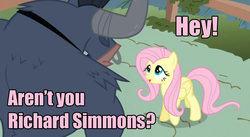 Size: 852x467 | Tagged: safe, edit, edited screencap, screencap, fluttershy, iron will, minotaur, pegasus, pony, g4, putting your hoof down, caption, dialogue, duo, duo male and female, family guy, female, male, mare, necktie, nose piercing, nose ring, open mouth, piercing, richard simmons, septum piercing, text