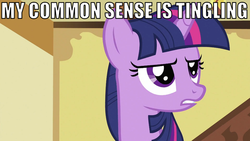 Size: 775x436 | Tagged: safe, twilight sparkle, g4, deadpool, female, image macro