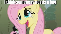 Size: 853x480 | Tagged: safe, fluttershy, g4, bronybait, hug, image macro