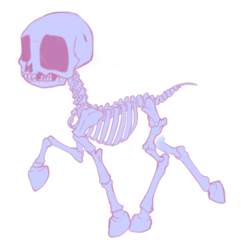 Size: 1134x1134 | Tagged: safe, artist:purmu, pinkie pie, g4, anatomy, skeleton