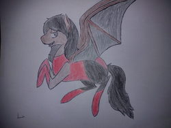 Size: 2592x1944 | Tagged: safe, oc, oc only, bat pony, pony, mulp, traditional art