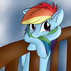 Size: 800x800 | Tagged: safe, artist:little-tamia, rainbow dash, g4, looking up, solo