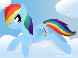 Size: 1024x768 | Tagged: safe, artist:tofuudog, rainbow dash, g4, cloud, folded wings, full body, on a cloud, side view, solo, wings