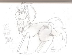 Size: 3231x2499 | Tagged: safe, artist:collinscorpio, oc, oc only, oc:collin, earth pony, pony, ponified