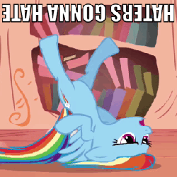 Size: 320x320 | Tagged: safe, edit, edited screencap, screencap, rainbow dash, pegasus, pony, bridle gossip, g4, season 1, animated, caption, female, flapping wings, frown, gif, golden oaks library, haters gonna hate, image macro, mare, rainbow crash, solo, talking, upside down, wings