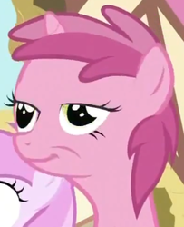 Size: 262x322 | Tagged: safe, screencap, piña colada, ruby pinch, g4, the cutie pox, cropped, faic, solo focus