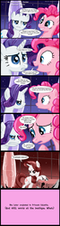 Size: 640x2406 | Tagged: safe, artist:shiki01, pinkie pie, rarity, g4, 2012, american psycho, as presented by ponies, crossover