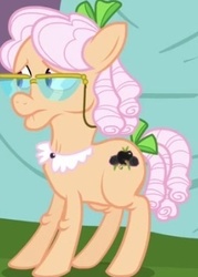 Size: 279x389 | Tagged: safe, edit, screencap, apple rose, earth pony, pony, apple family reunion, g4, cropped, cutie mark, elderly, female, glasses, hooves, mare, solo