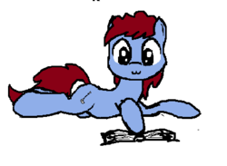 Size: 448x328 | Tagged: safe, oc, oc only, earth pony, pony, book