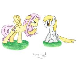 Size: 5799x4597 | Tagged: safe, artist:ulyssesgrant, derpy hooves, fluttershy, pegasus, pony, g4, absurd resolution, duo, duo female, female, mare