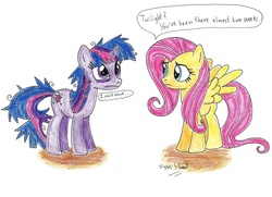 Size: 3477x2520 | Tagged: safe, artist:ulyssesgrant, fluttershy, twilight sparkle, g4