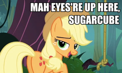 Size: 858x516 | Tagged: safe, edit, edited screencap, screencap, applejack, earth pony, pony, g4, spike at your service, bedroom eyes, butt, caption, female, image macro, mare, plot, rope