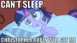 Size: 1010x568 | Tagged: safe, edit, edited screencap, screencap, twilight sparkle, pony, friendship is magic, g4, my little pony: friendship is magic, can't sleep, christopher robin, female, image macro, solo, wat, winnie the pooh home run derby