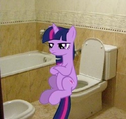 Size: 355x335 | Tagged: safe, twilight sparkle, pony, unicorn, g4, but why, female, implied pooping, irl, mare, photo, ponies in real life, potty, potty time, sitting on toilet, solo, toilet