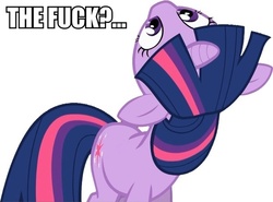 Size: 600x445 | Tagged: safe, twilight sparkle, g4, image macro, looking up, reaction image, text, wtf