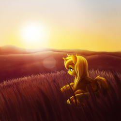 Size: 900x900 | Tagged: safe, artist:adailey, oc, oc only, oc:ticket, alicorn, pony, alicorn oc, solo, sunset