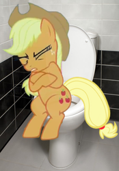 Size: 314x452 | Tagged: safe, applejack, earth pony, pony, g4, but why, constipated, implied pooping, irl, photo, ponies in real life, potty, potty time, sitting on toilet, straining, toilet