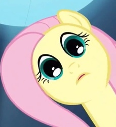 Size: 335x365 | Tagged: safe, screencap, fluttershy, pony, g4, the crystal empire, cropped, faic, female, solo