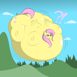 Fluttershy Inflation