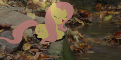Size: 3292x1628 | Tagged: safe, artist:bushinio, fluttershy, g4, irl, photo, ponies in real life, river, singing, stream, vector