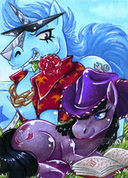 Size: 362x500 | Tagged: safe, artist:atras-kainblut, franky, nico robin, one piece, ponified