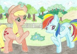 Size: 1024x720 | Tagged: safe, artist:louis badalament, applejack, rainbow dash, earth pony, pegasus, pony, pony pov series, g4, alex warlorn, day, fanfic, fanfic art, female, looking down, mare, reharmonized ponies, sweet apple acres