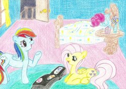 Size: 1024x727 | Tagged: safe, artist:louis badalament, fluttershy, pinkie pie, rainbow dash, earth pony, pegasus, pony, pony pov series, g4, alex warlorn, fanfic, fanfic art, photo album, reharmonized ponies, sugarcube corner