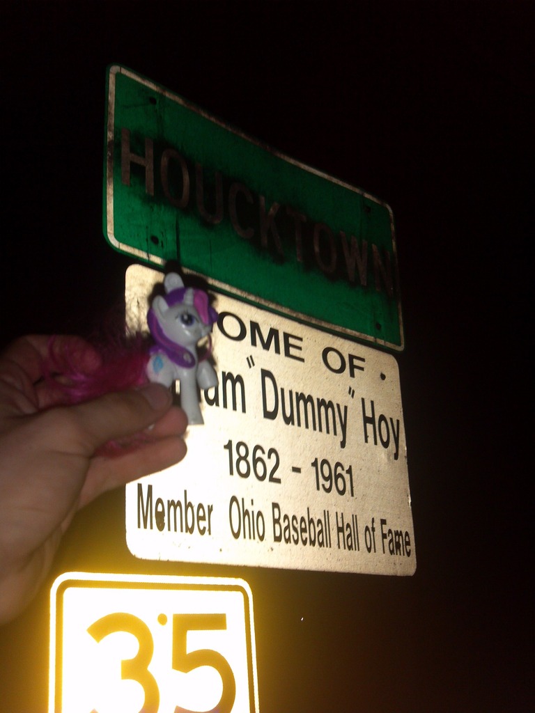 205793 safe, rarity, baseball, houcktown, irl, ohio, photo, sign