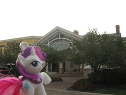 Size: 1280x960 | Tagged: safe, rarity, g4, car, columbus, irl, mall, ohio, photo, solo, tree, united states