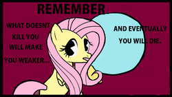 Size: 848x477 | Tagged: safe, artist:mmelvin420, fluttershy, pegasus, pony, g4, female, mare, solo