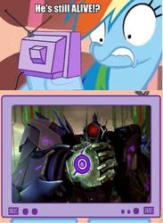 Size: 660x901 | Tagged: safe, rainbow dash, g4, exploitable meme, meme, shockwave, transformers, transformers prime, tv meme