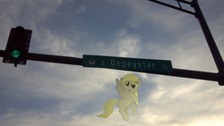 Size: 3264x1836 | Tagged: safe, derpy hooves, pegasus, pony, g4, female, kent, mare, ohio, sign, traffic light, traffic signal, united states