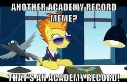 Size: 500x321 | Tagged: safe, spitfire, g4, academy record, image macro, meme