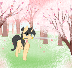 Size: 962x900 | Tagged: safe, artist:larkdraws, oc, oc only, oc:blossomfall, pony, askblossomfall, cherry blossoms, choker, flower, katana, mouth hold, solo, sword, tree, weapon