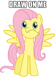 Size: 625x878 | Tagged: safe, artist:hotdiggedydemon, edit, fluttershy, pegasus, pony, g4, draw on me, female, frown, image macro, looking at you, simple background, solo, spread wings, white background