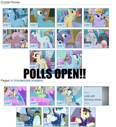 Size: 704x768 | Tagged: safe, edit, edited screencap, screencap, amber waves, amethyst maresbury, bright smile, care package, castle (crystal pony), crystal arrow, crystal beau, elbow grease, fast clip, fleur de verre, fluttershy, ivory, ivory rook, lime jelly, manerick, night knight, paradise (g4), rainbow dash, rainbow drop, rubinstein, sapphire joy, sightseer, special delivery, whiplash, crystal pony, pegasus, pony, g4, the crystal empire, wonderbolts academy, background pony, fanon, female, image macro, male, mare, meme, meta, poll, stallion, sunglasses, wiki